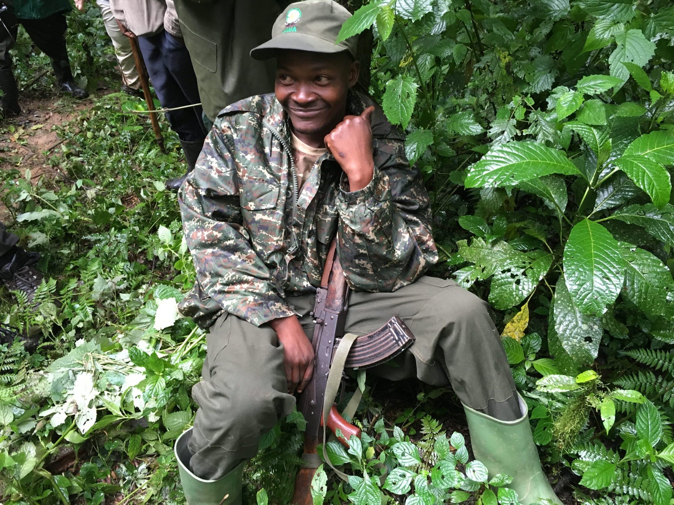 Gorilla Forest & Conservation visual 4